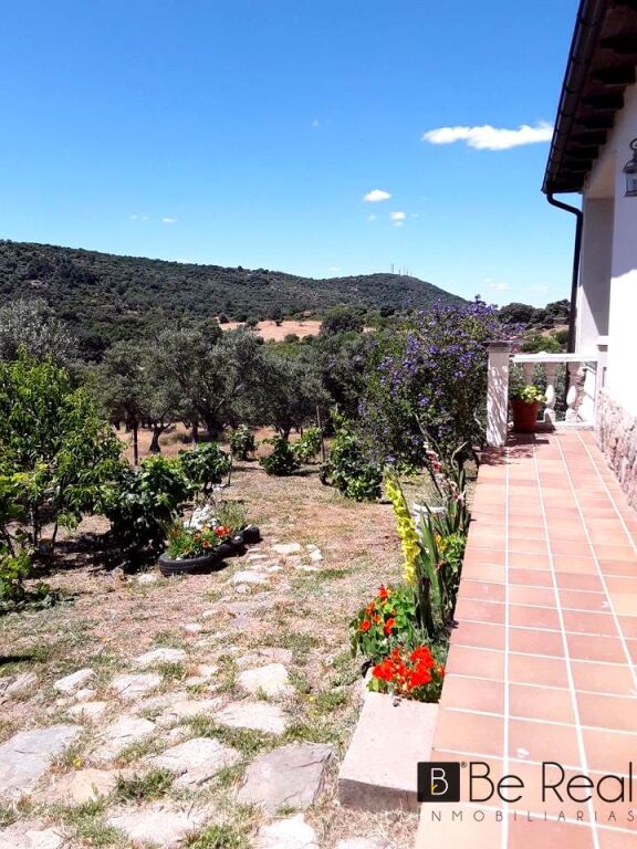 Imagen 4 de GRAN FINCA CON VIVIENDAS ENTRE EL VALLE DEL JERTE Y LA VERA