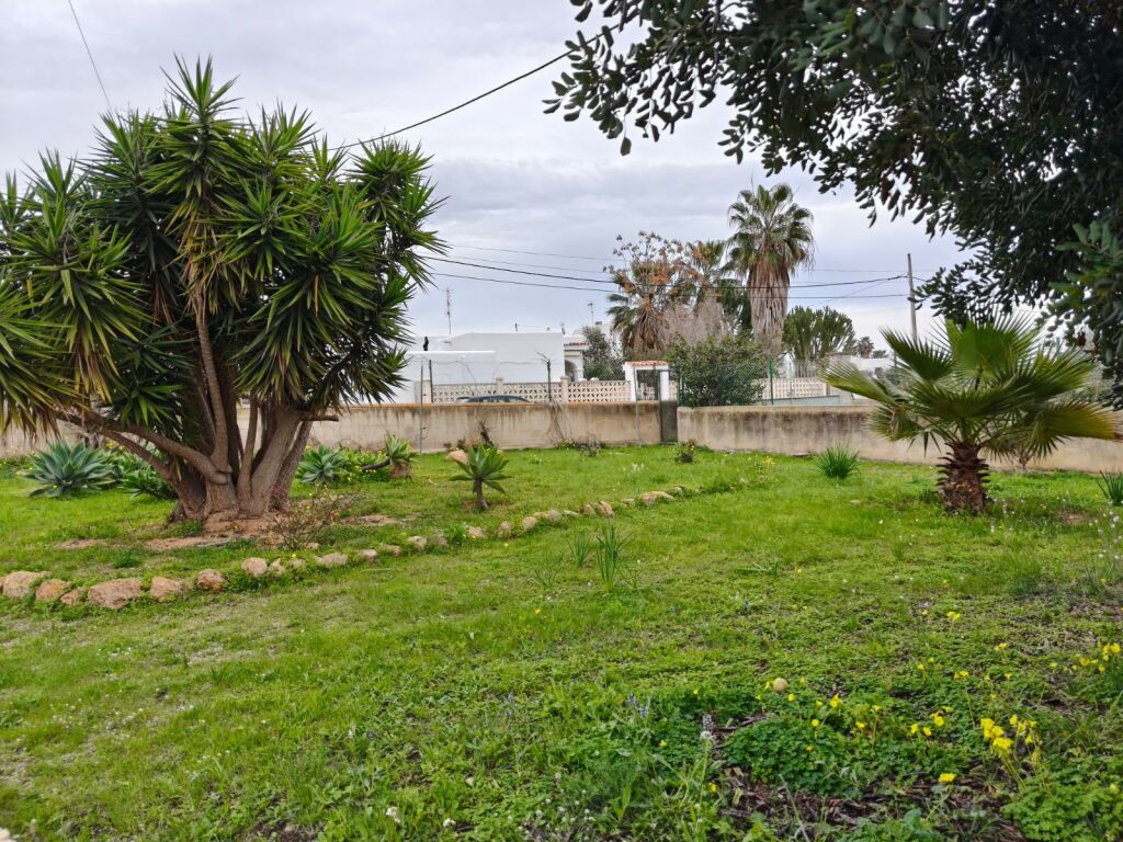 Imagen 2 de Casa-Chalet en Venta en Sa Carroca Baleares