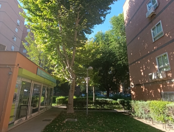 Imagen 2 de Casa-Chalet en Venta en Madrid Madrid BARAJAS