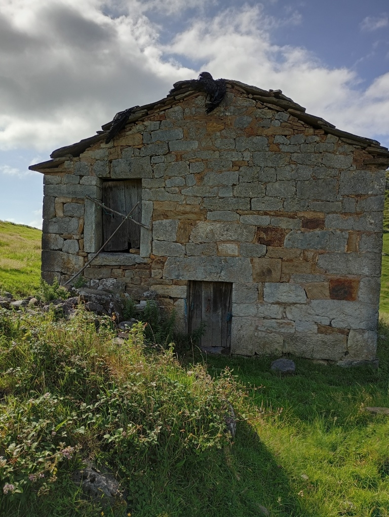 Imagen 2 de Edificio singular en Venta en San Roque De Riomiera Cantabria