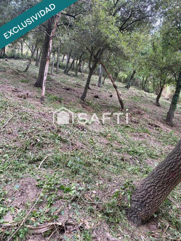 Imagen 3 de "El lugar ideal para vivir y crecer: descubre Torrevileta.