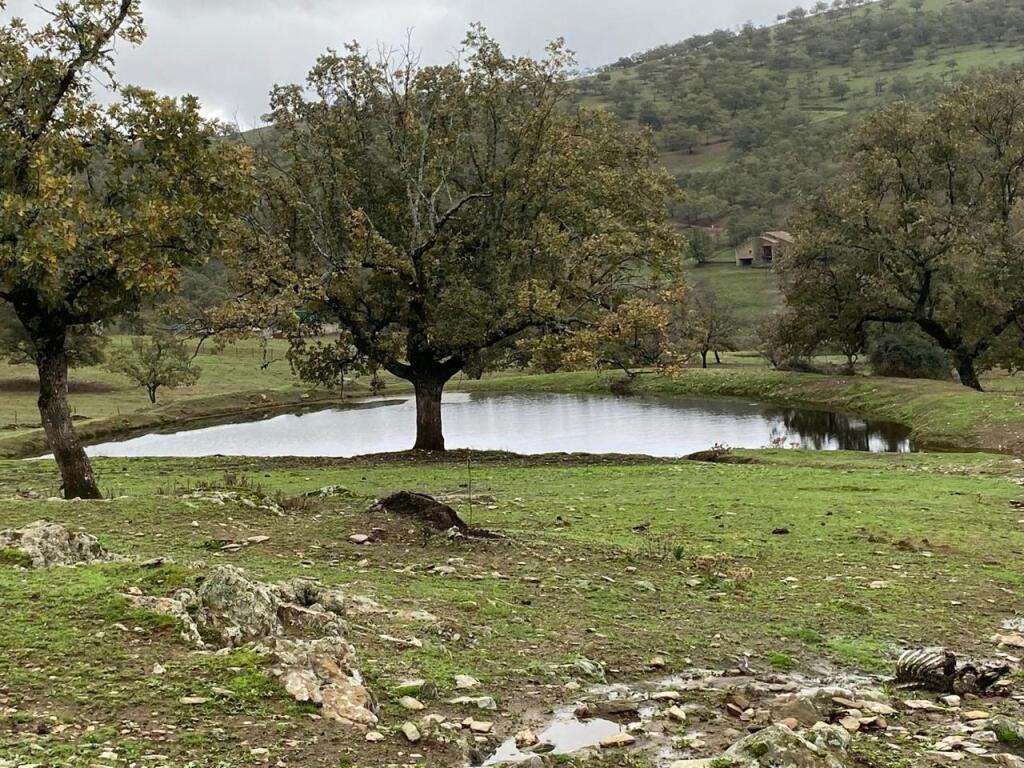 Imagen 2 de FINCA RÚSTICA CON GRANDES POSIBILIDADES DE EXPLOTACIÓN