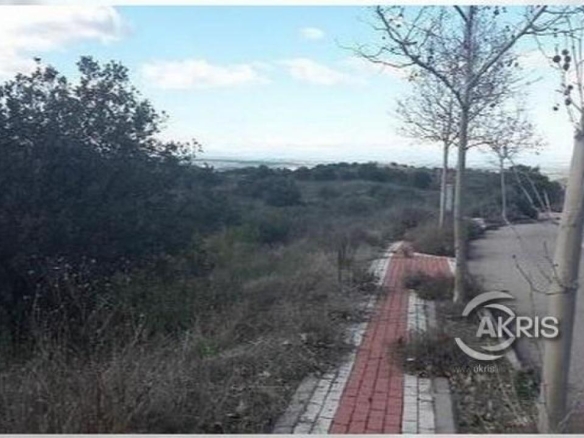 Imagen 2 de Promoción de terrenos en Urb. Montesión