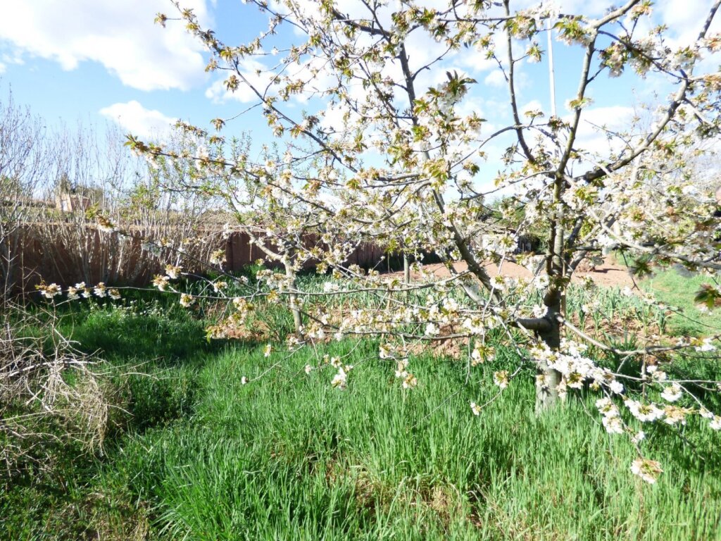 ZONA AGRÍCOLA Y BOSCOSA EN VENTA EN MANRESA