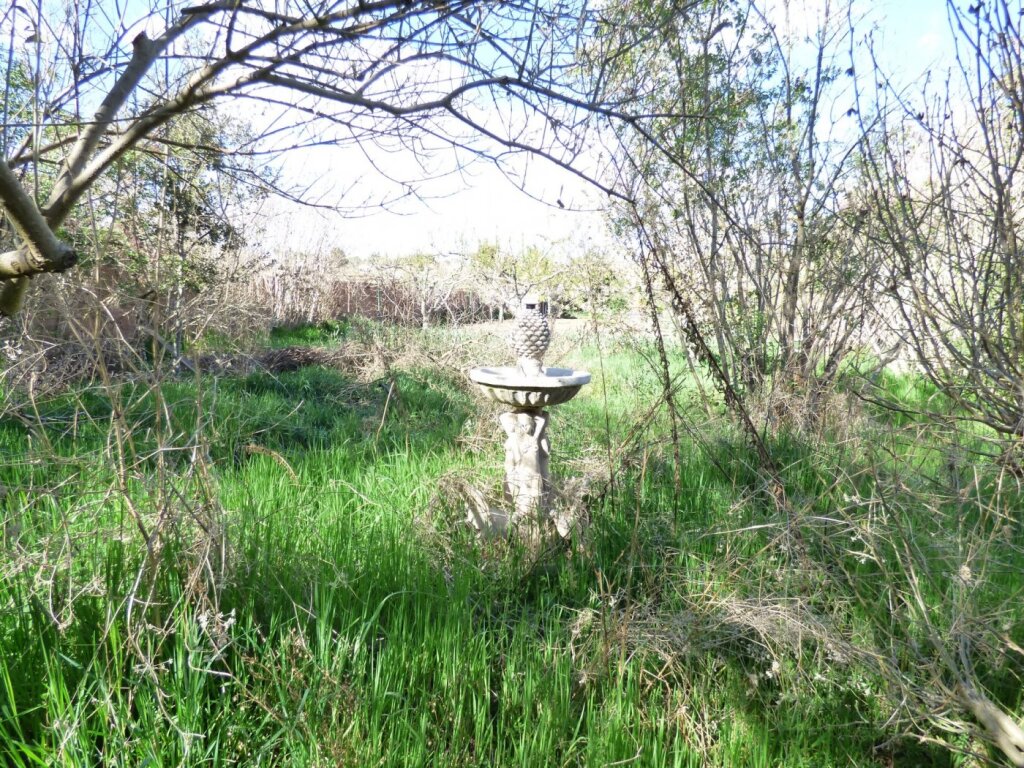 Imagen 2 de FINCA RÚSTICA DE 2.200 M2 CON AGUA DE ACEQUIA ILIMITADA