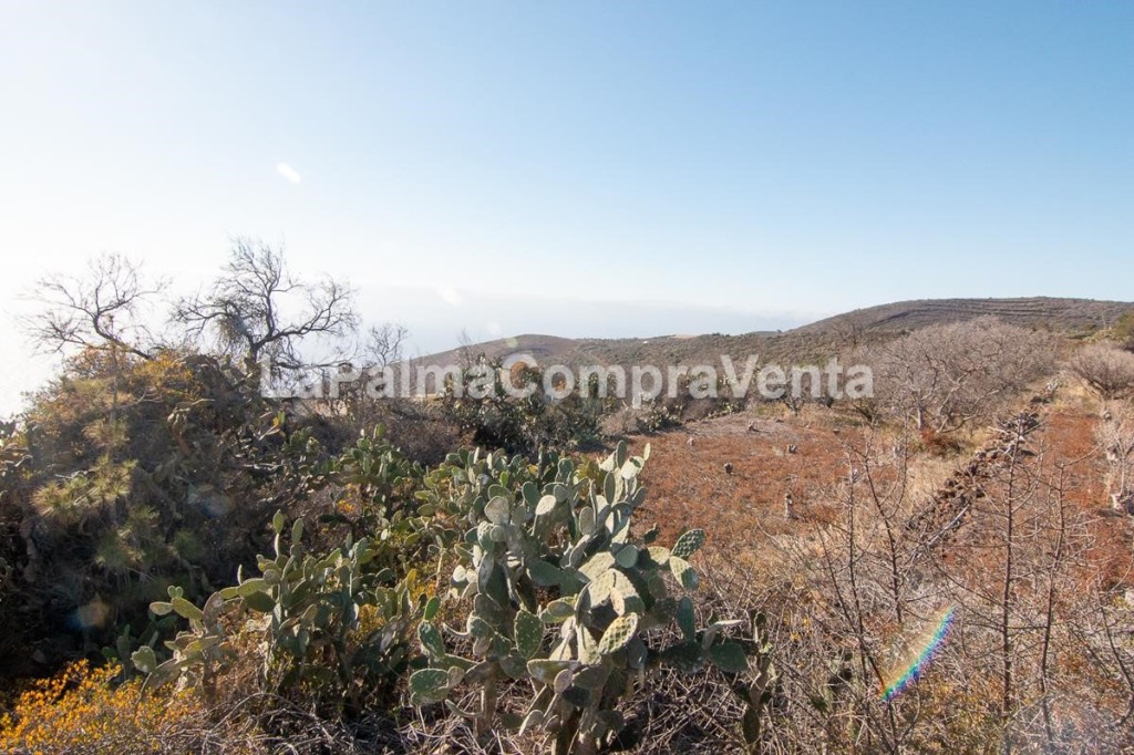 Imagen 2 de Suelo rústico en Venta en Puntagorda Santa Cruz de Tenerife