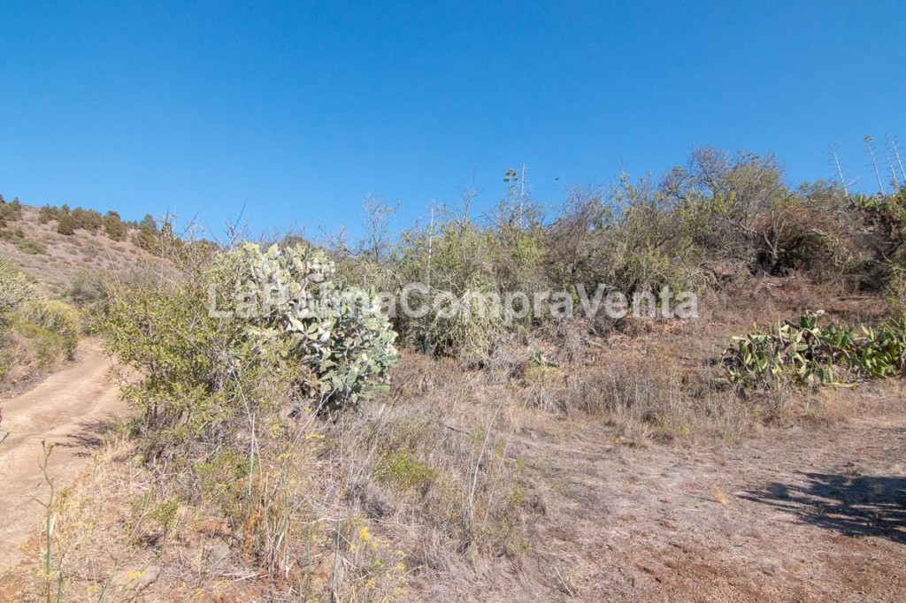 Imagen 3 de Suelo rústico en Venta en Puntagorda Santa Cruz de Tenerife