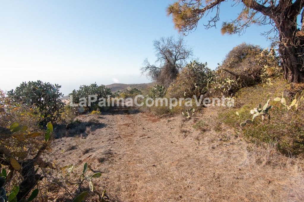 Imagen 4 de Suelo rústico en Venta en Puntagorda Santa Cruz de Tenerife