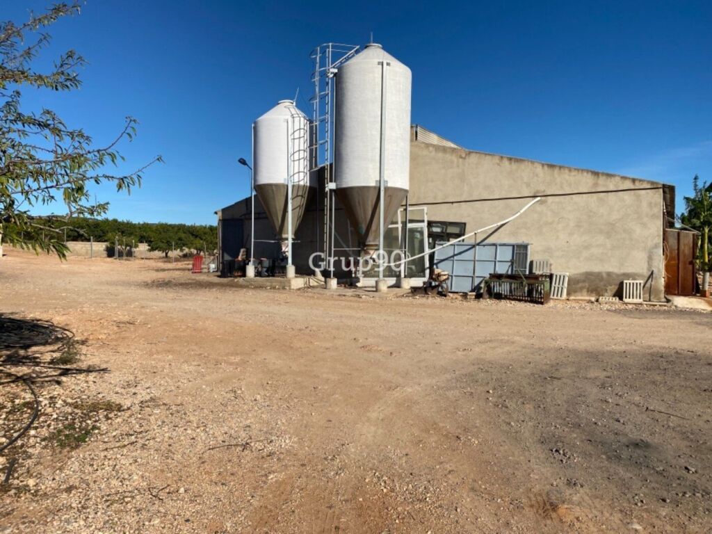 Imagen 3 de Granja en pleno funcionamiento cerca de Torreblanca
