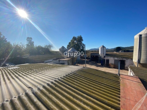 Imagen 4 de Granja en pleno funcionamiento cerca de Torreblanca