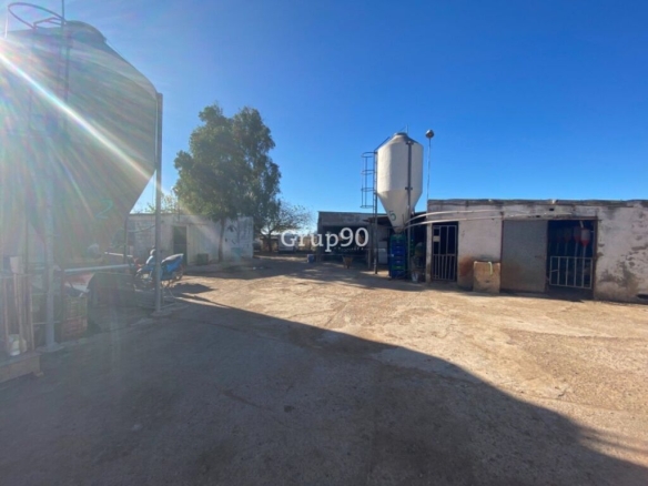 Imagen 1 de Granja en pleno funcionamiento cerca de Torreblanca