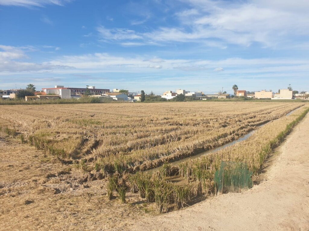 Imagen 3 de venta de 2 parcelas en SANT JAUME D'ENVEJA
