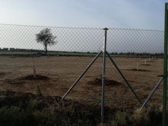 Imagen 2 de Parcela tipo Industrial