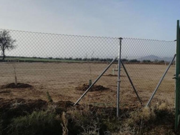 Imagen 3 de Parcela tipo Industrial