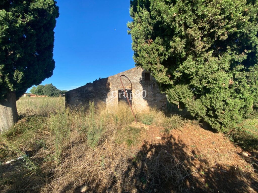Imagen 3 de Finca con caseta de campo muy cerca del pueblo