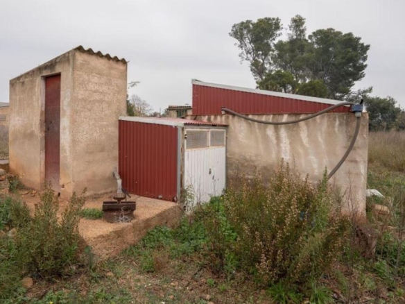 Imagen 4 de Finca con caseta de campo muy cerca del pueblo