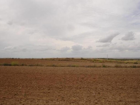 Imagen 2 de TERRENO A LA VENTA EN S2 BARGAS