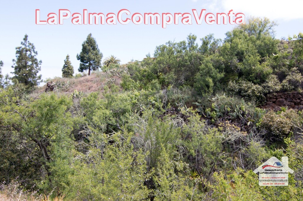 Imagen 3 de Suelo urbanizable en Venta en Puntagorda Santa Cruz de Tenerife