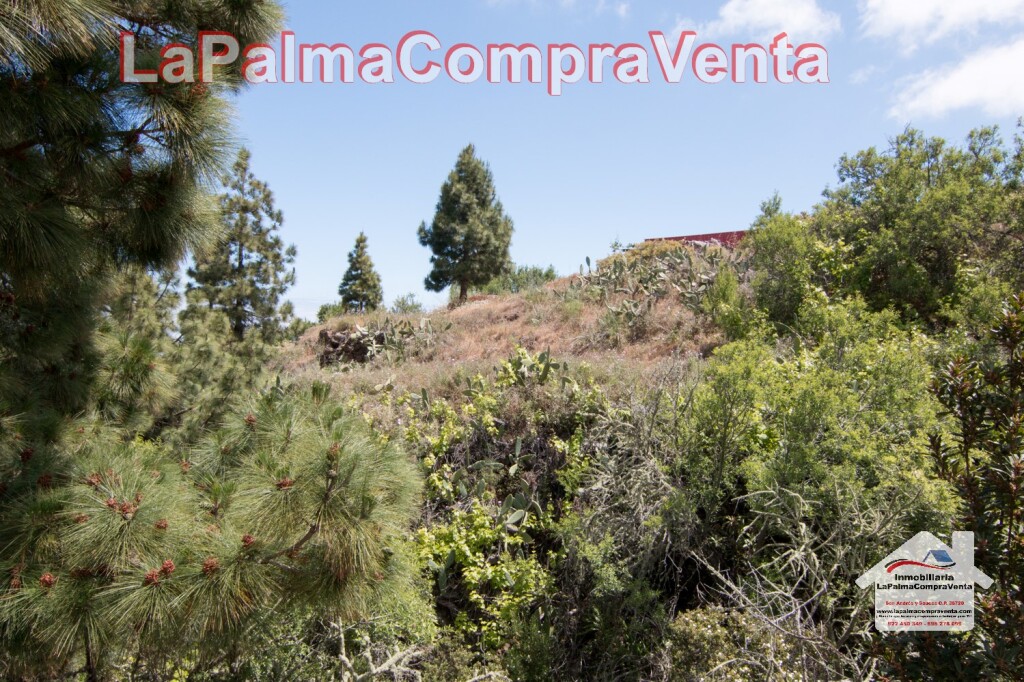 Imagen 4 de Suelo rústico en Venta en Puntagorda Santa Cruz de Tenerife