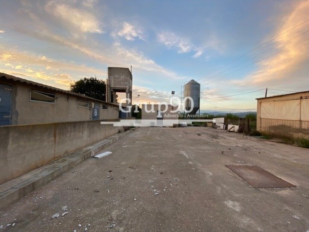 Imagen 2 de Granja para explotación de cerdos en Santa Bárbara