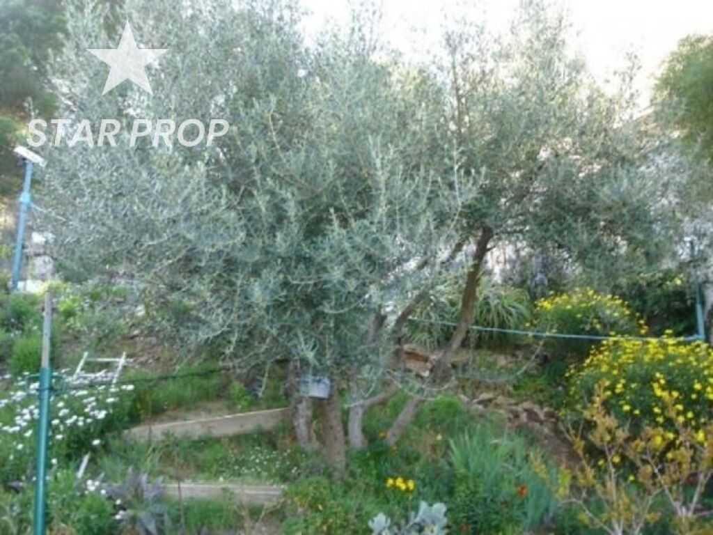 Imagen 2 de Casa en Llançà