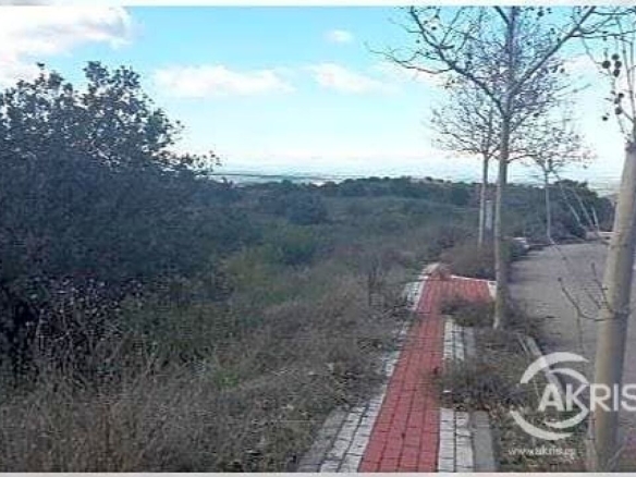 Imagen 3 de Terreno en venta en Toledo de 2892 m2