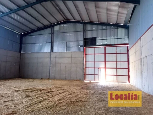 Imagen 4 de Nave Granelera en Palencia