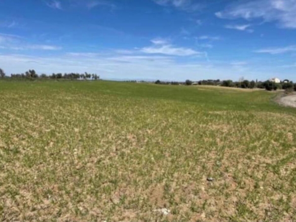 Imagen 2 de FINCA RUSTICA DE RECREO EN OLIAS DEL REY