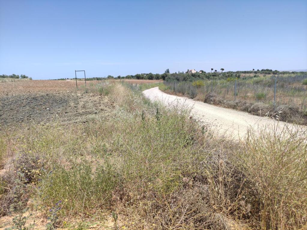 Imagen 4 de FINCA RUSTICA DE RECREO EN OLIAS DEL REY