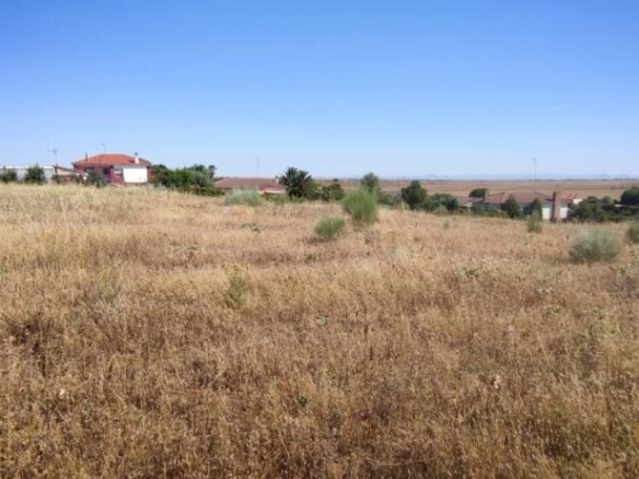 6 hectáreas junto a la A5