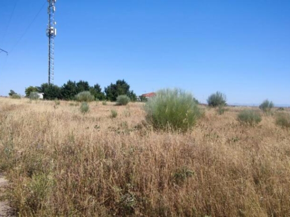 6 hectáreas junto a la A5