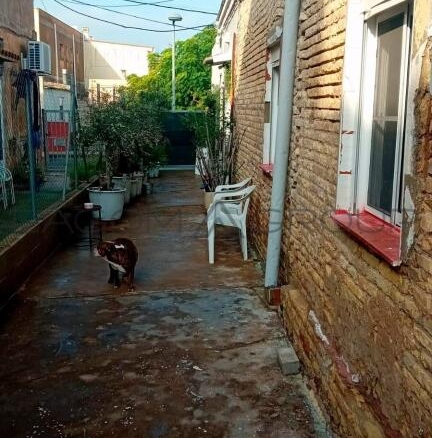 Imagen 2 de PISO EN SANT JAUME D'ENVEJA