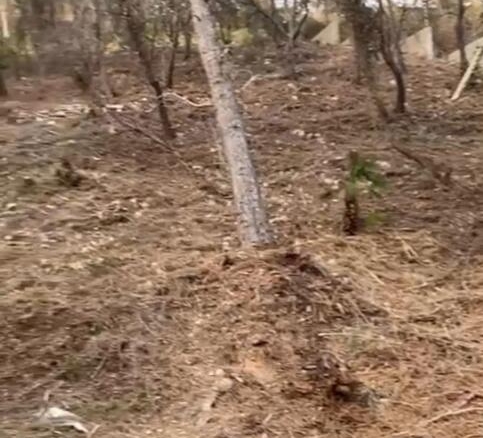 Imagen 3 de Solar urbano en venta en Mastrader