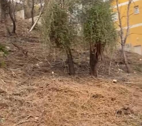 Imagen 4 de Solar urbano en venta en Mastrader