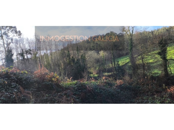 Imagen 4 de Parcela en Venta en A Laracha La Coruña