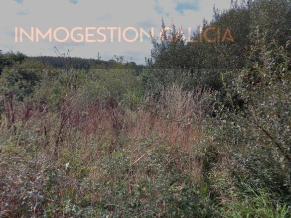 Imagen 4 de Solar residencial en Venta en A Laracha La Coruña