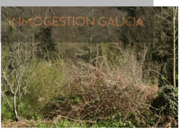 Imagen 3 de Parcela en Venta en Sumio (Santiago) La Coruña