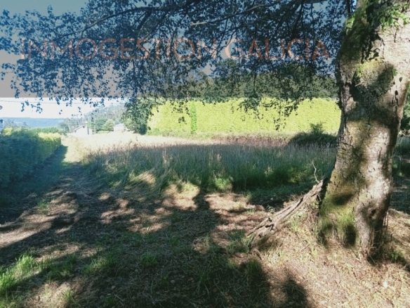 Imagen 4 de Casa de pueblo en Venta en Cerceda La Coruña