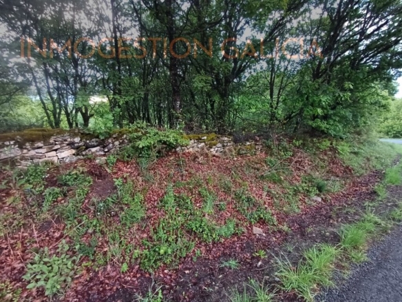 Imagen 2 de Parcela en Venta en Goian Lugo