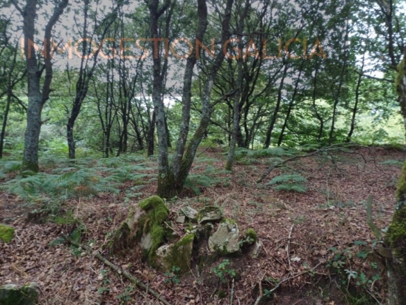 Imagen 3 de Parcela en Venta en Goian Lugo