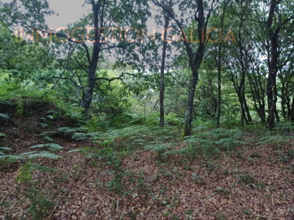 Imagen 4 de Parcela en Venta en Goian Lugo