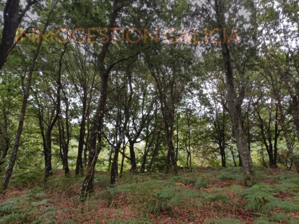 Imagen 1 de Parcela en Venta en Goian Lugo