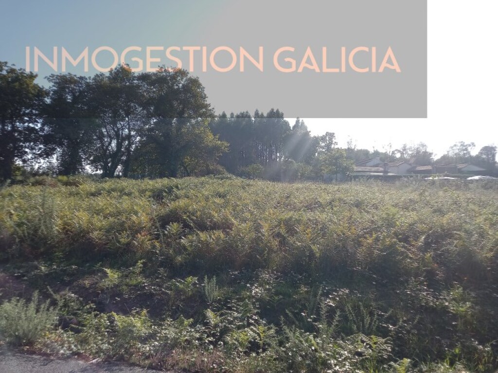 Imagen 4 de Solar residencial en Venta en Queixas (Santa Maria) La Coruña