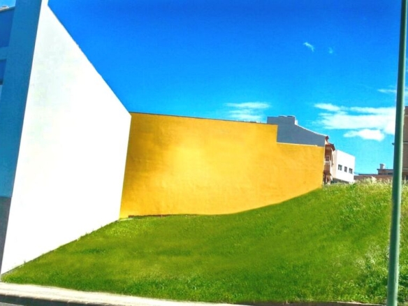 Las Las Palmas TAMARACEITE