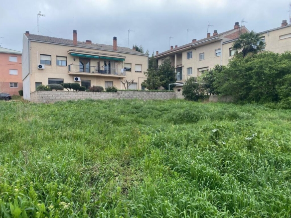 Imagen 2 de 5 PARCELAS EN VENTA EN CALLÚS!