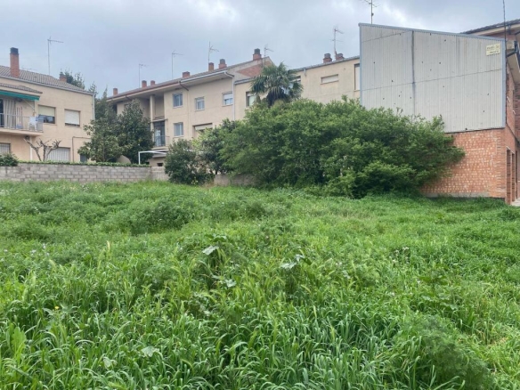 Imagen 3 de 5 PARCELAS EN VENTA EN CALLÚS!