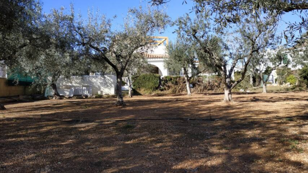 Imagen 3 de Suelo urbanizable en Venta en Alcossebre Castellón