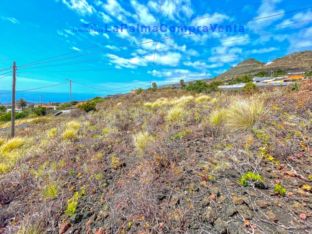 Imagen 4 de Suelo rústico en Venta en Villa De Mazo Santa Cruz de Tenerife