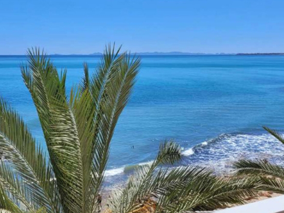 Imagen 2 de Piso en Venta en Torrevieja Alicante