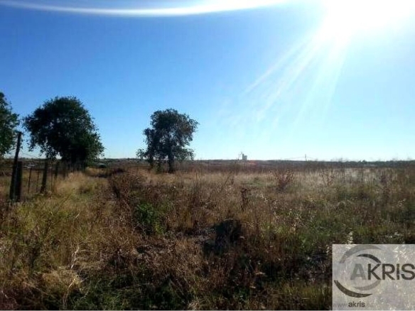 Imagen 2 de TERRENOS VENTA A PROFESIONALES EN NAVALCARNERO **PRECIO A CONSULTAR**